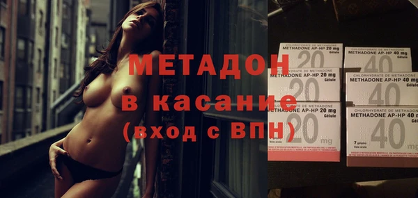 прущие грибы Балахна