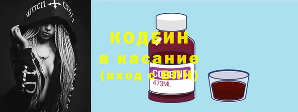 прущие грибы Балахна