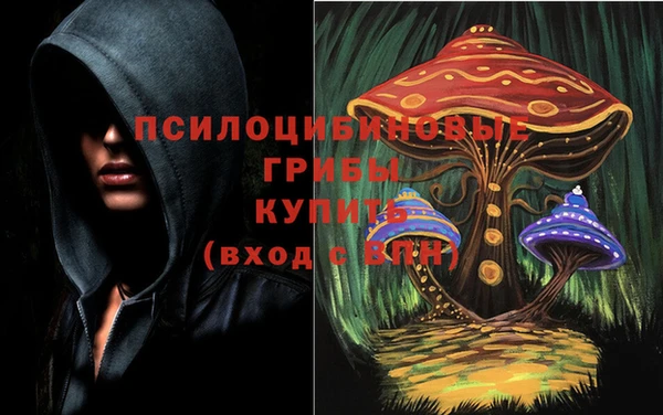 прущие грибы Балахна
