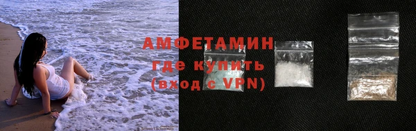 прущие грибы Балахна