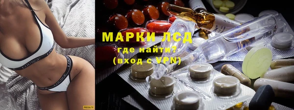 прущие грибы Балахна